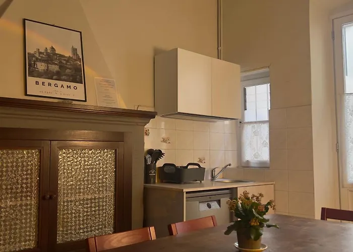 Papavero Piazza Delfino *