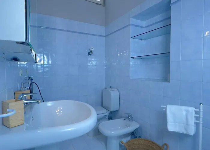 Papavero Piazza Delfino Bergamo