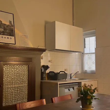 Papavero Piazza Delfino *