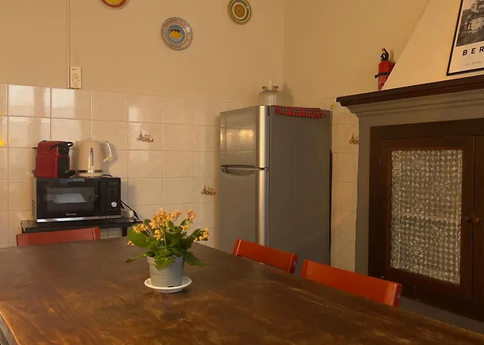 Papavero Piazza Delfino Bergamo